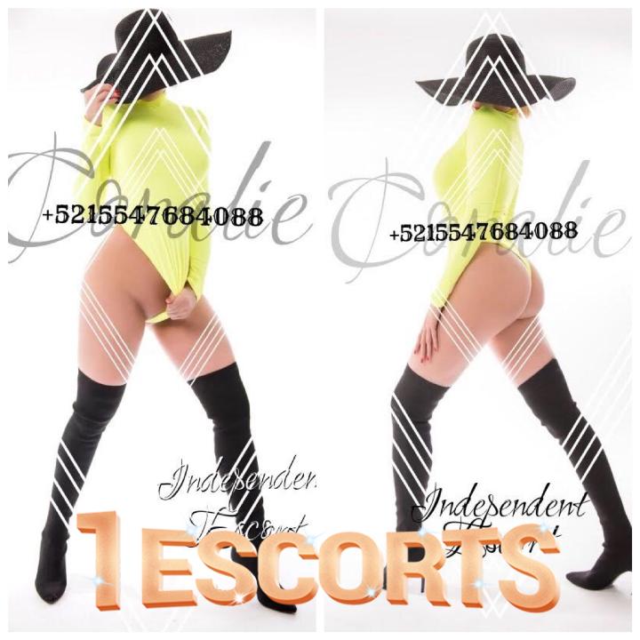 escort service high class outcall service mexico city