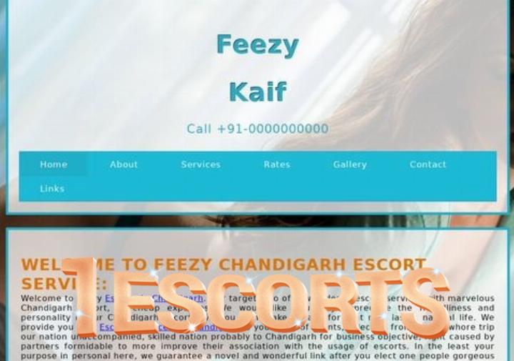 Chandigarh Escorts Service, Independent Call Girls in Chandigarh - feezy.in