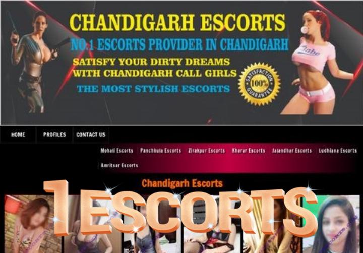 VIP Chandigarh Escorts For High Profile Call Girls Service at Doorstep - chandigarhescort.in