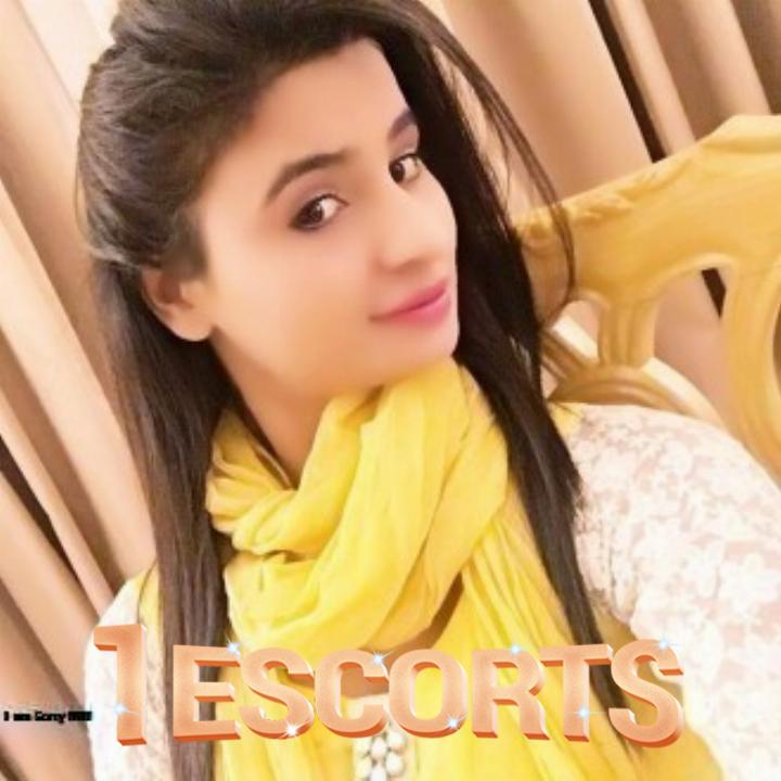 +923153777977 Cute Young University Babes Ready to Fulfill Your Desire From Raju Escorts Murree