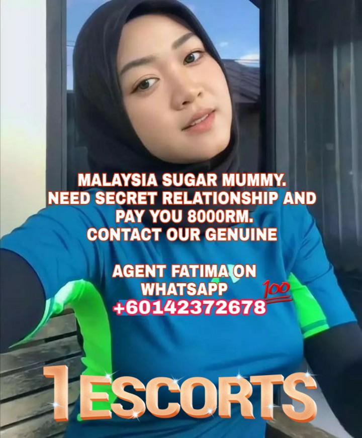 Gigolo service. Rich sugar mummy pay you RM8,000. Contact agent fatima on WhatsApp +60142372678