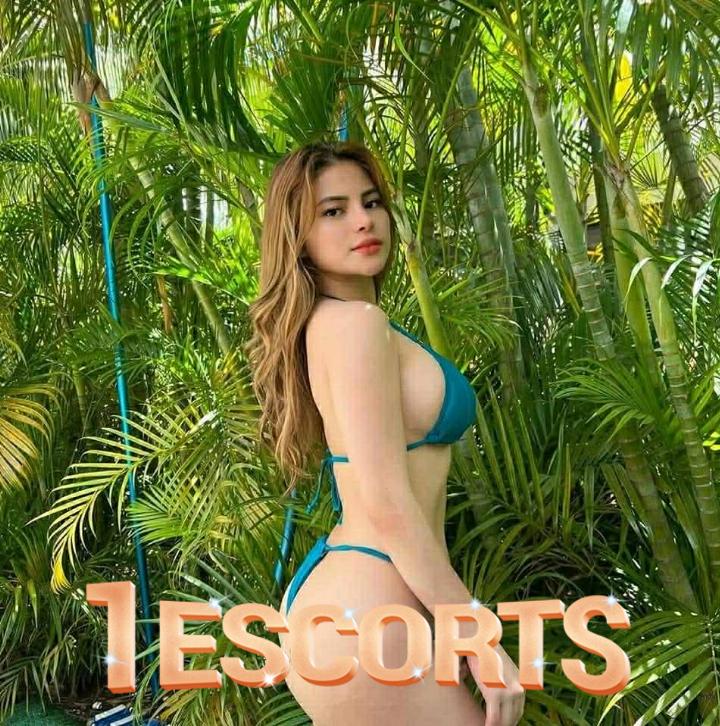 available catalina -3