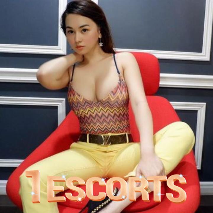 Dolly - available now -3